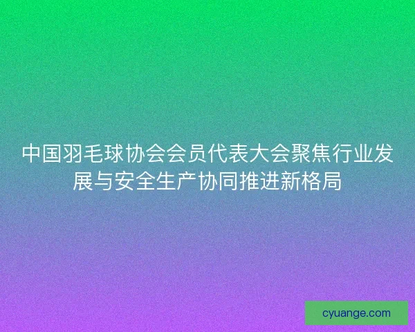 中国羽毛球协会会员代表大会聚焦行业发展与安全生产协同推进新格局