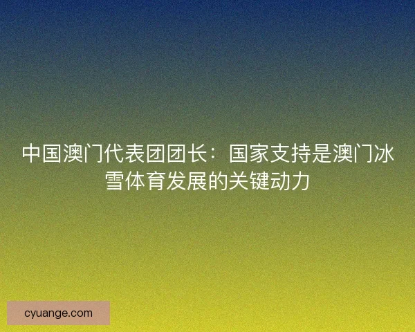 中国澳门代表团团长：国家支持是澳门冰雪体育发展的关键动力