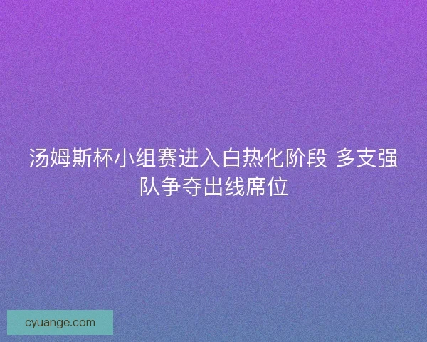 汤姆斯杯小组赛进入白热化阶段 多支强队争夺出线席位