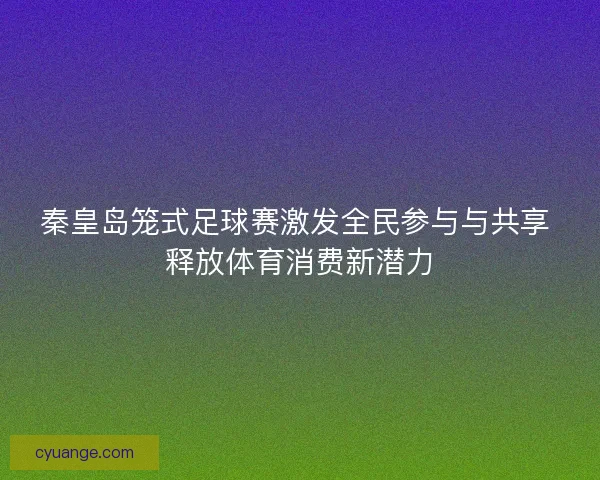 秦皇岛笼式足球赛激发全民参与与共享 释放体育消费新潜力